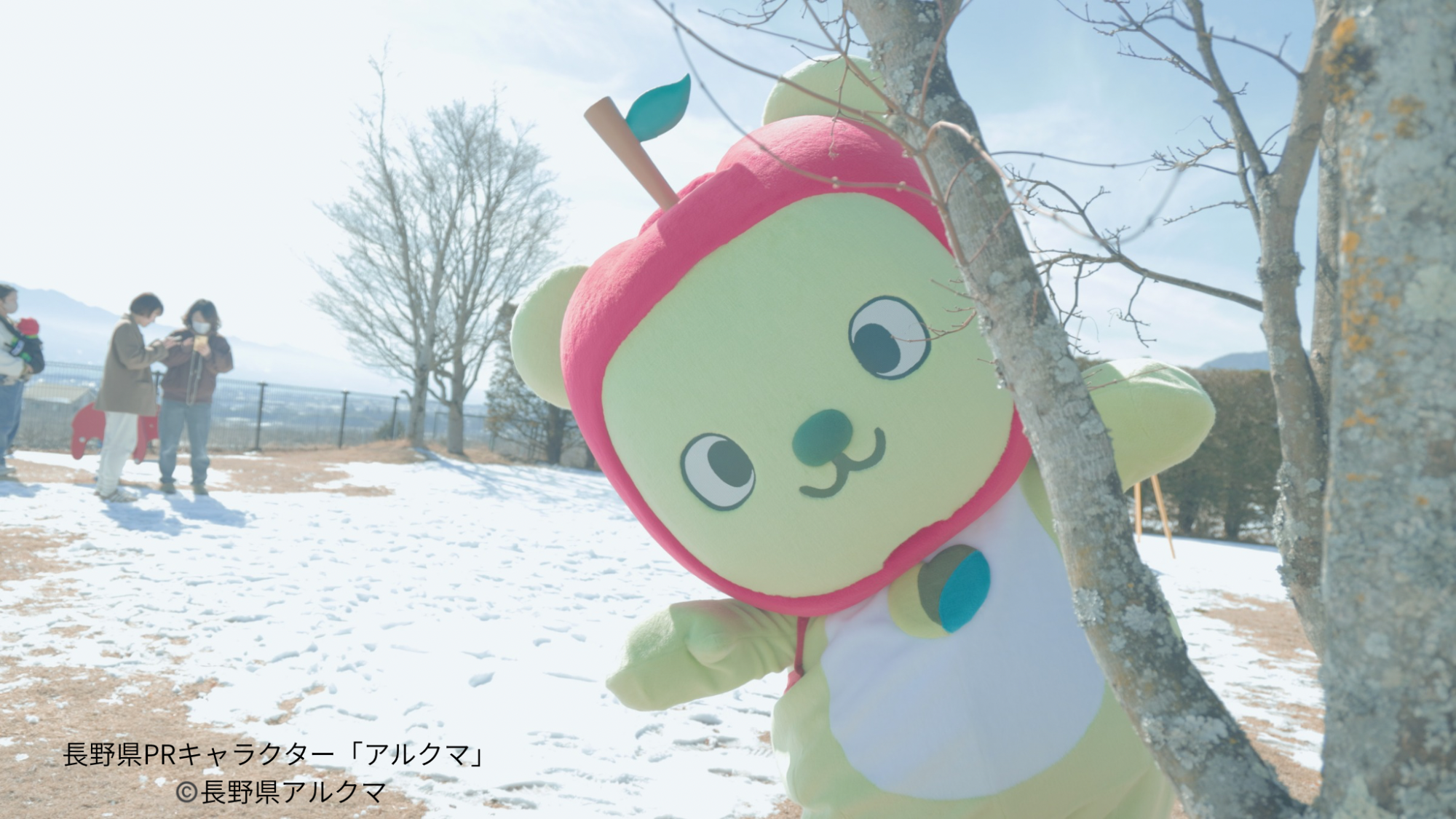 アルクマが木からひょこっと顔を出している画像