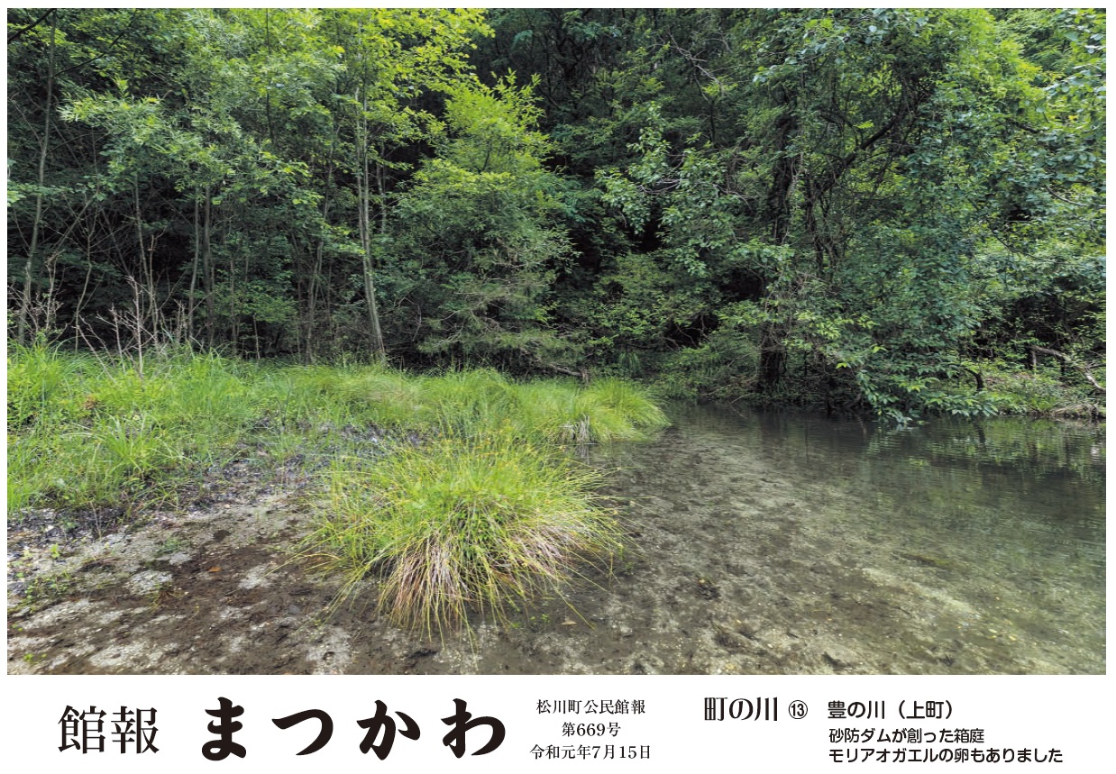 館報まつかわ7月号