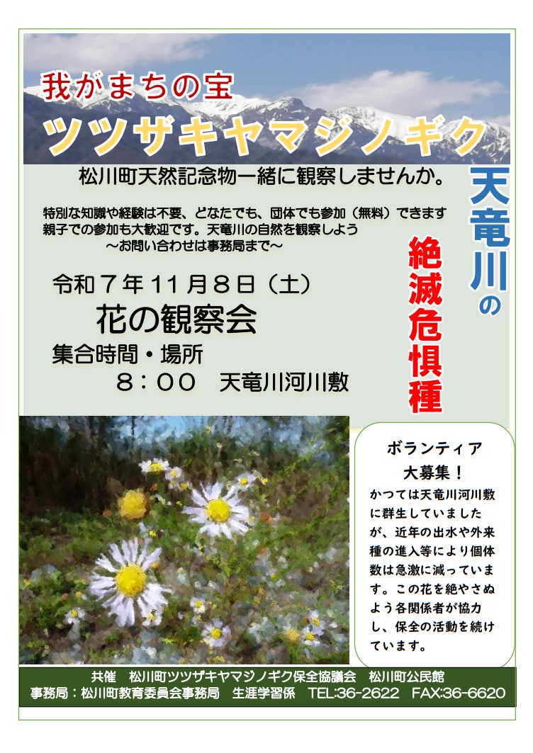 11.8ツツザキチラシ