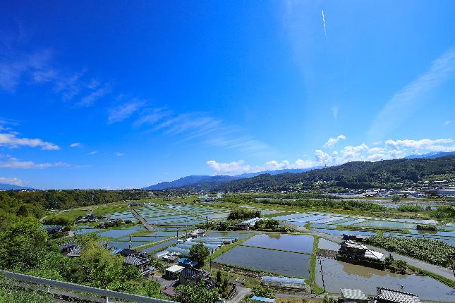 前河原の田んぼ2025