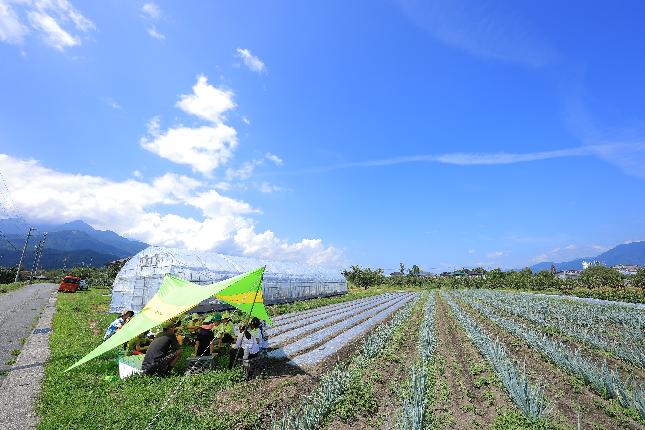 夏の農場