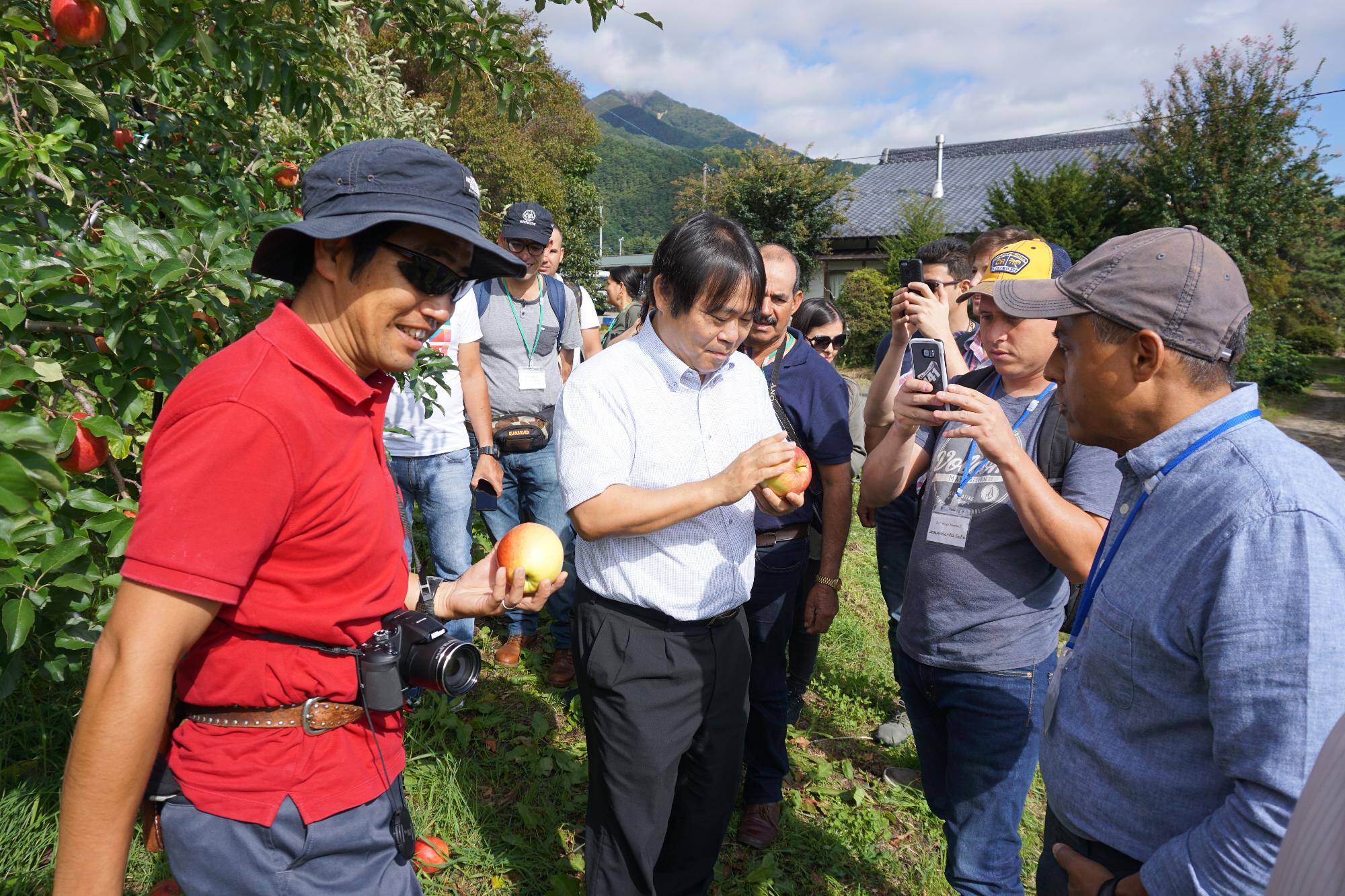 りんごを見る丸山社長とコスタリカのコーヒー生産者のみなさん